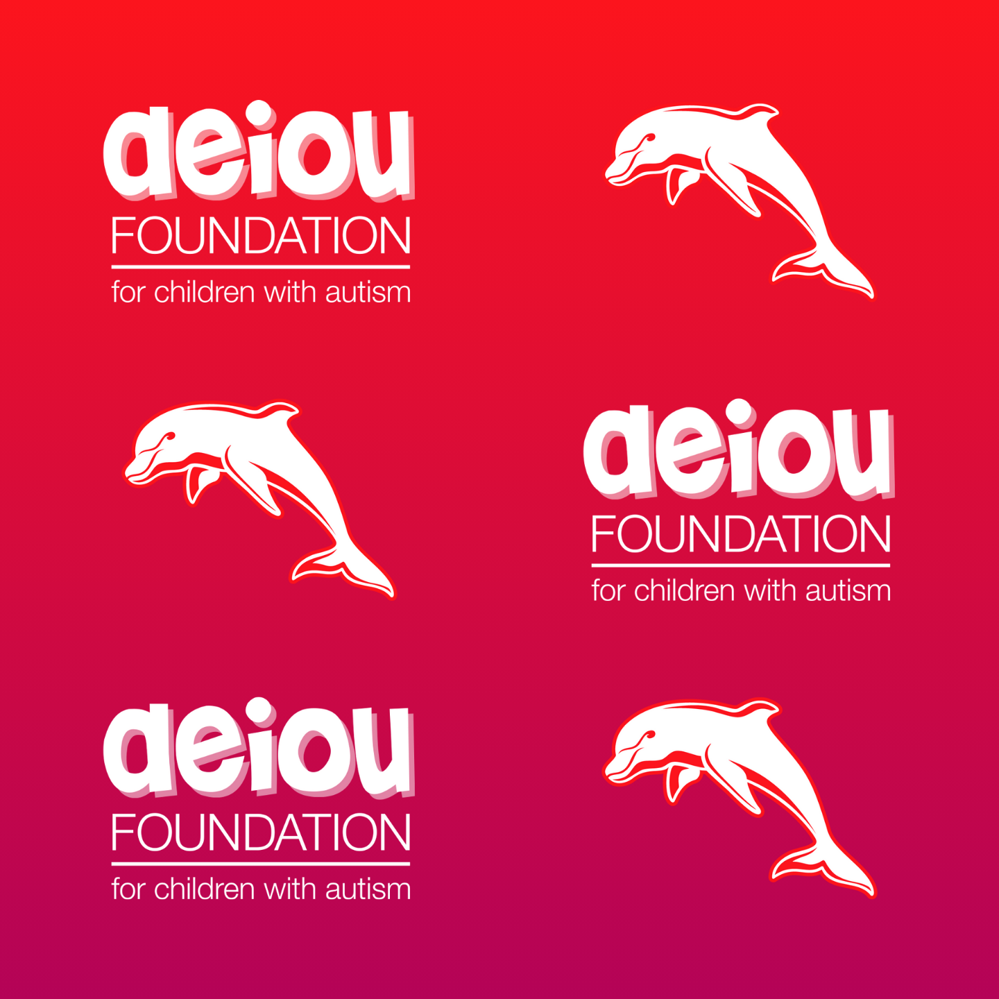 AEIOU Foundation teams up with Dolphins as official charity partner