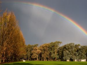 Building Resilient Families: Finding your happy self again...